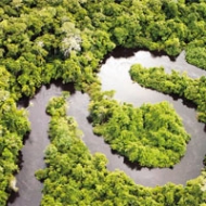 Voi lettori con papa Francesco in Amazzonia Portrait image